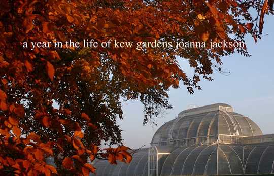 ...Kew Gardens